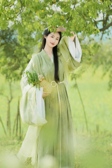 zhanshi